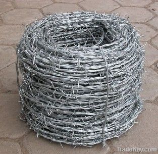 wire mesh Fencing