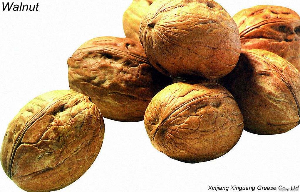 Raw Walnuts