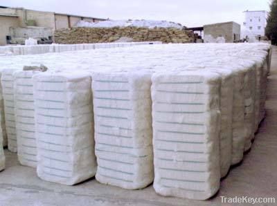 Pakistani Raw Cotton