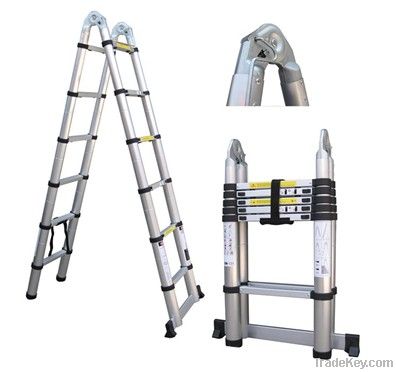 Joint telescopic ladder