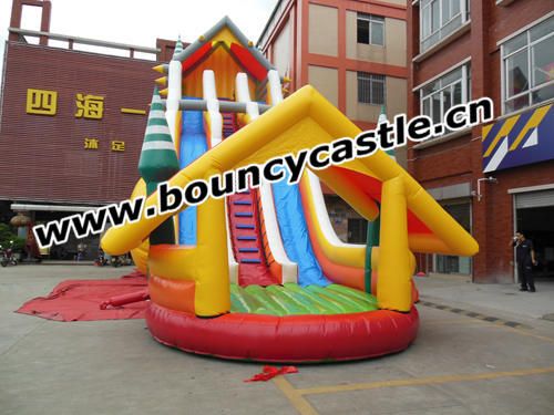 Giant Inflatable Water Slide 