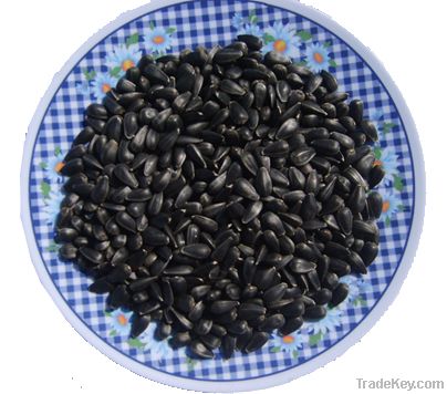 oil seeds