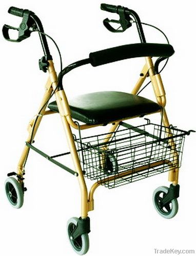 Ecnomical Rollator