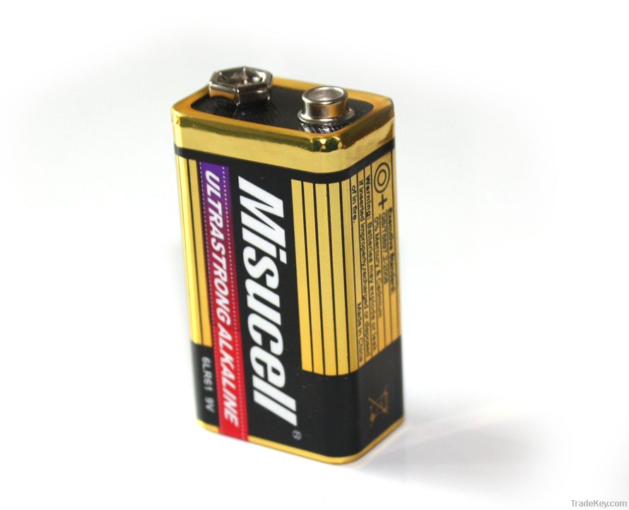 1.5V Battery Am1 Battery D Battery