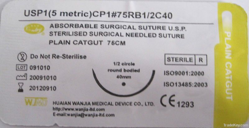 Plain Catgut surgcial suture