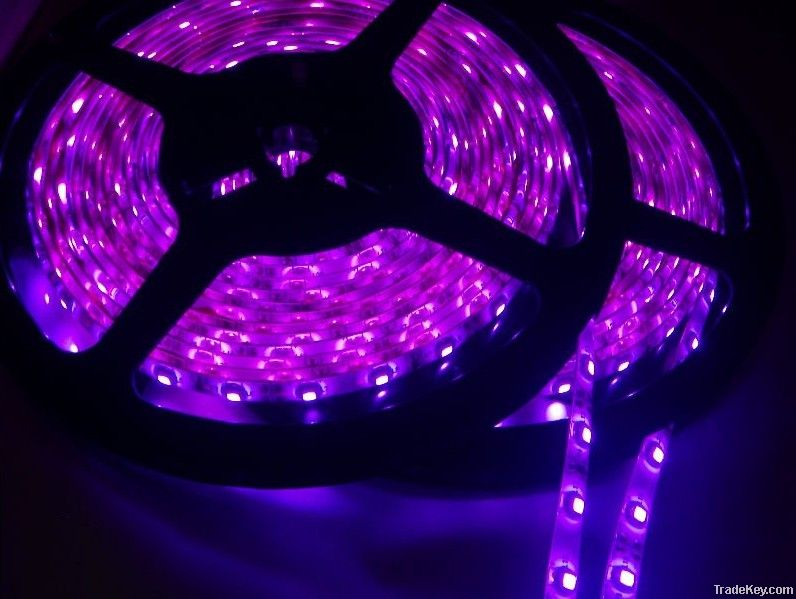led strip light with factory price