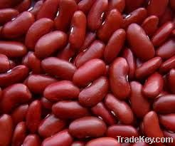 Kidney Bean