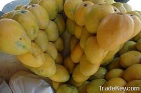 Fresh Mangos (South African Fresh Mangos