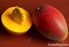 Fresh Mangos (South African Fresh Mangos