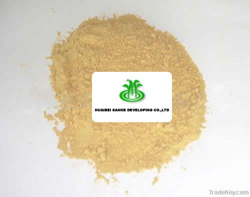 Ginger Powder