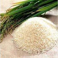 RICE SUPPLIER| PARBOILED RICE IMPORTERS| IMPORT BASMATI RICE|  BASMATI RICE EXPORTER| KERNAL RICE WHOLESALER| WHITE RICE MANUFACTURER| LONG GRAIN TRADER| BROKEN RICE BUYER| BUY KERNAL RICE| WHOLESALE WHITE RICE| LOW PRICE LONG GRAIN