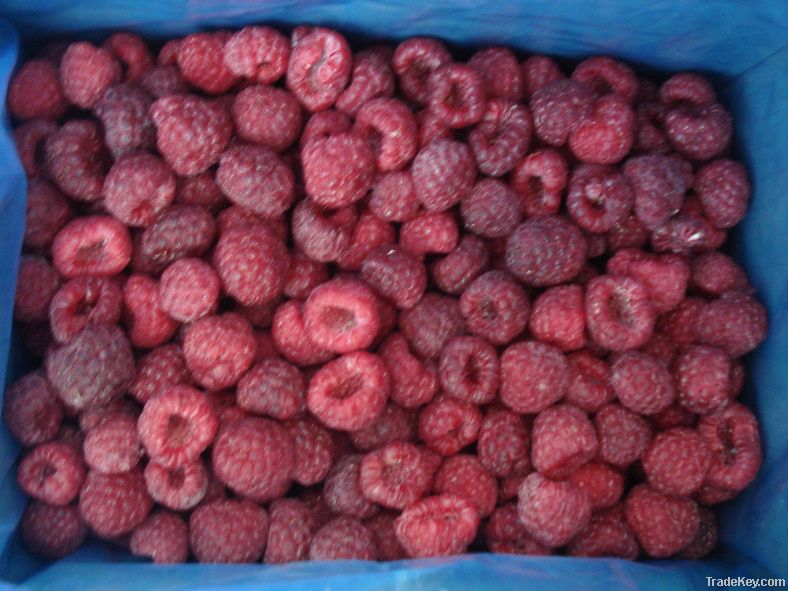 Frozen IQF Raspberry, whole and crumbles
