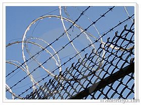 Razor  barbed wire