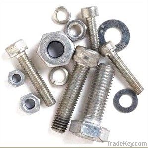 Stainless Steel Nuts Bolts