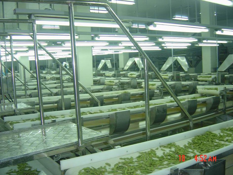 vegetable&fruit drying production line plant