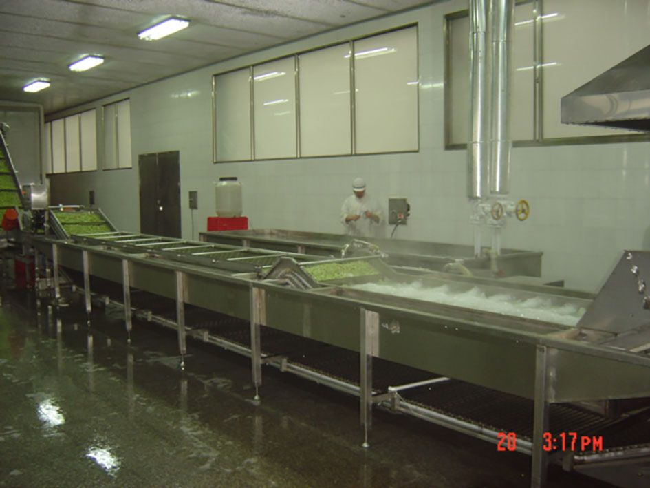 strawberry production line(vegetable/fruit/seafood processing line)