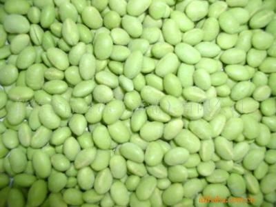 green bean IQF quick freezer machine 