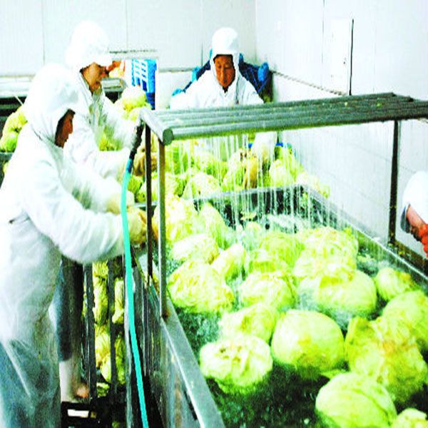 China vegetable cleaner