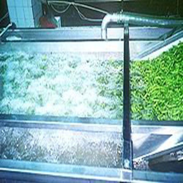 China vegetable and fruit bubble washing machine