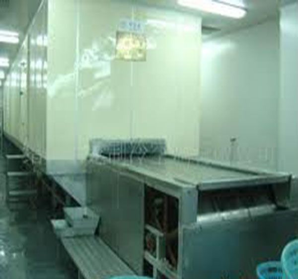 IQF tunnel single freezer