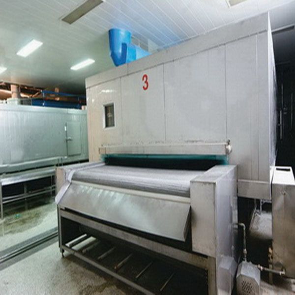 IQF tunnel single freezer 