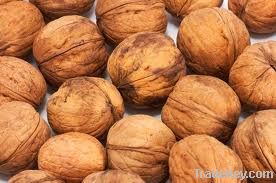 WALNUTS FOR SALE