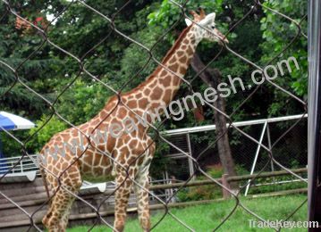 animal enclosure, bird cage, aviary mesh, zoo bird netting