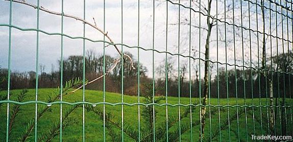 Welded Euro Fence