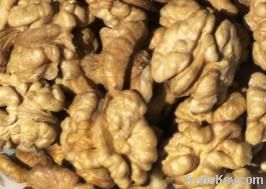 Walnut Kernels | Dried Fruits | Walnut Suppliers | Walnut Exporters | Walnut Manufacturers | Cheap Walnut | Wholesale Walnut | Discounted Walnut | Bulk Walnut | Walnut Buyer | Import Walnut | Shelled Walnuts