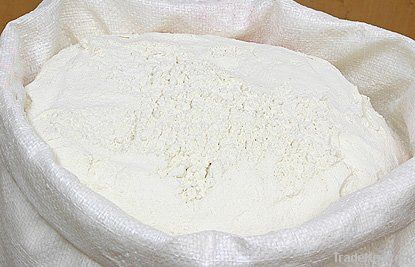 Wheat Flour Supplier| Wheat Flour Exporter | Wheat Flour Manufacturer | Wheat Flour Trader | Wheat Flour Buyer | Wheat Flour Importers | Import Wheat Flour 