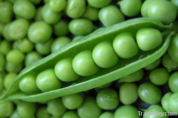 Frozen Green Peas