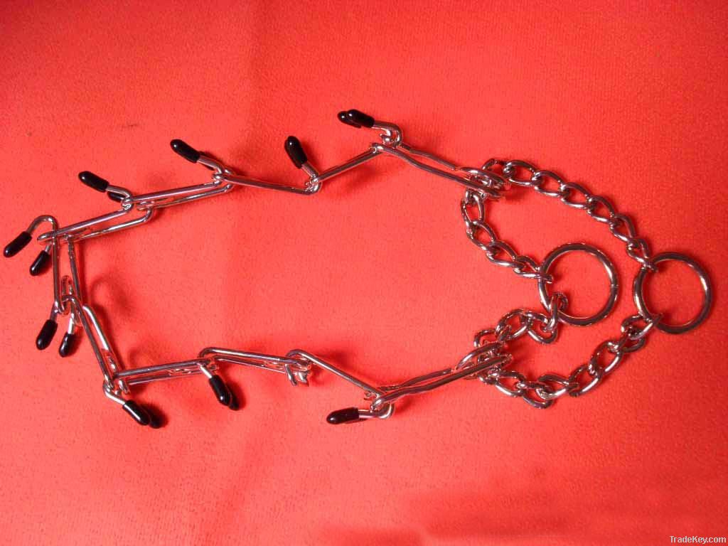 dog chain