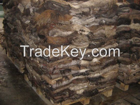 TOP QUALITY SALTED DONKEY HIDES FOR SALE,