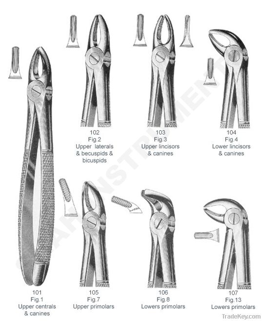 Dental Upper Laterals & bicuspids Forceps