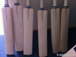 Cricket Bat