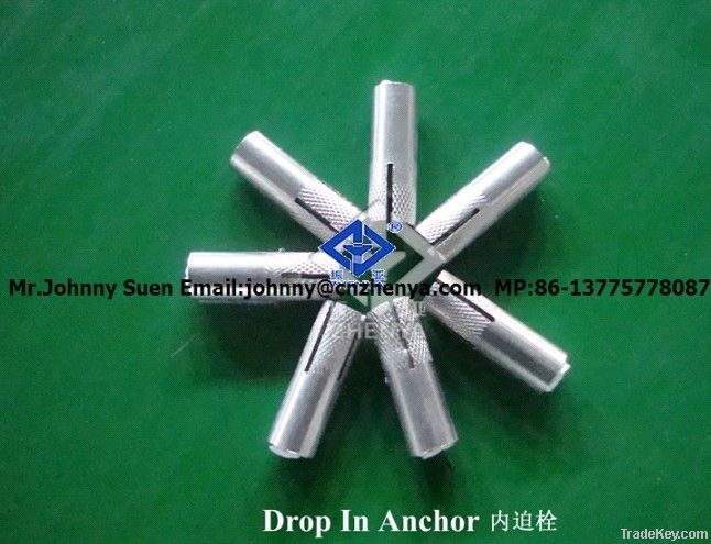 stainless steel AISI304/316L A2 A4 wedge anchor