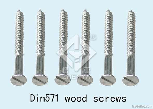 stainless steel self-tapping screw/ self-drilling screw/ wood screw