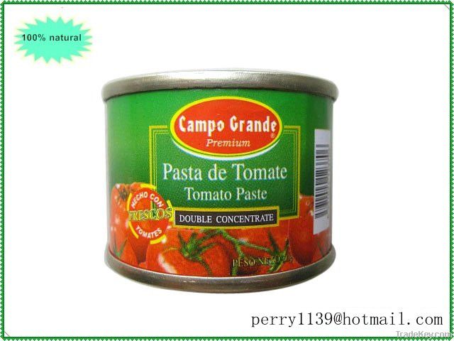 HOT! 70 high quality low price tomato paste