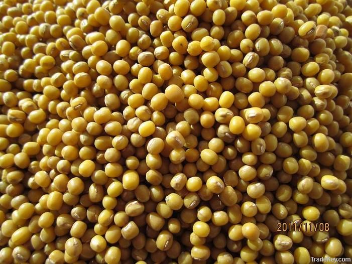 Yellow mung beans (2012 crop)