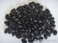 Black kidney beans (2012 crop)