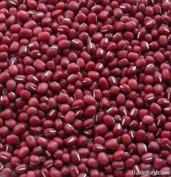 Small red beans (2010 Crop)