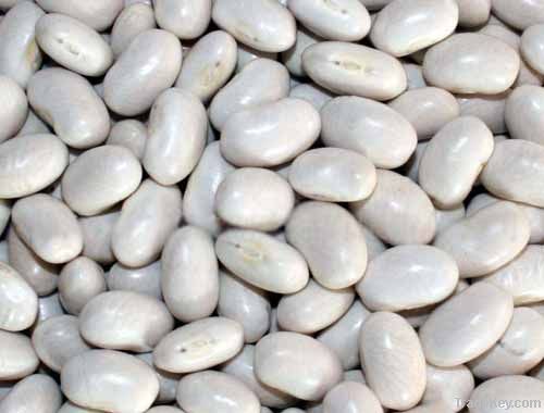 white kidney beans-Japanese type (2012 Crop)