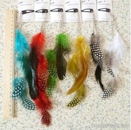 Feathered Hair Extensions