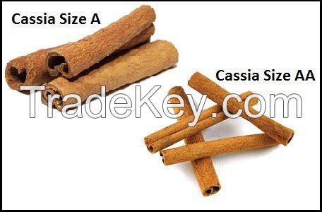 Cassia