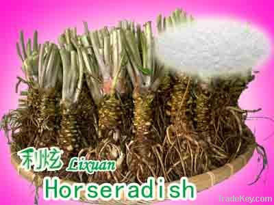 Horseradish Extracts