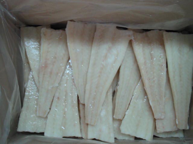 Frozen Seafood - Atlantic Cod, Alaska Pollock, Chum Salmon