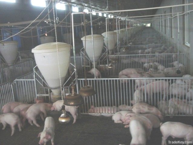 Pig nursing stainless steel chassis wet and dry feeder