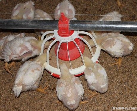 Adjustable Auger Automatic Pan Feeding System feeding systems for poul
