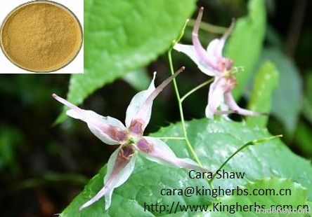 Epimedium Extract  Icariin 5%; 10%