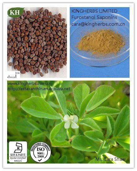Fenugreek Seed Extract Furostanol Saponins 50% by UV